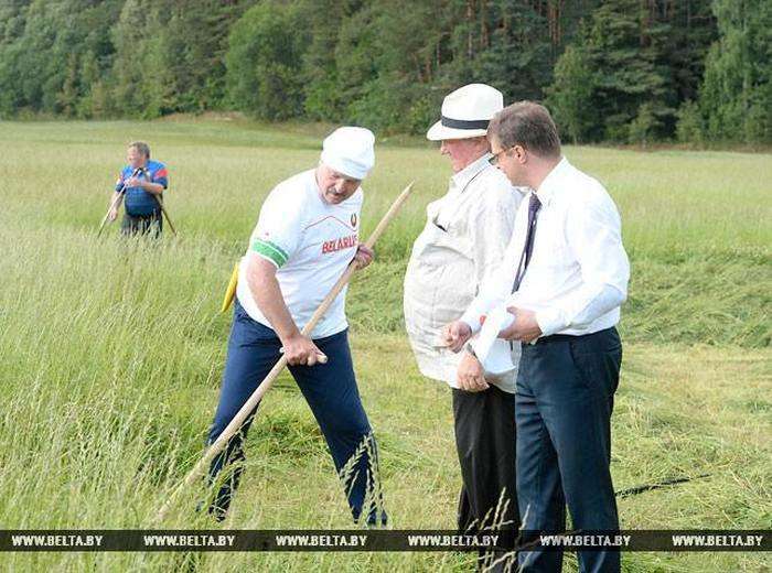 Жерар Депардьє і Олександр Лукашенко разом накосили сіна (6 фото)