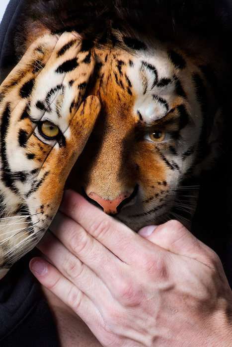 Цікавий фотопроект, присвячений тварин у неволі (15 фото)
