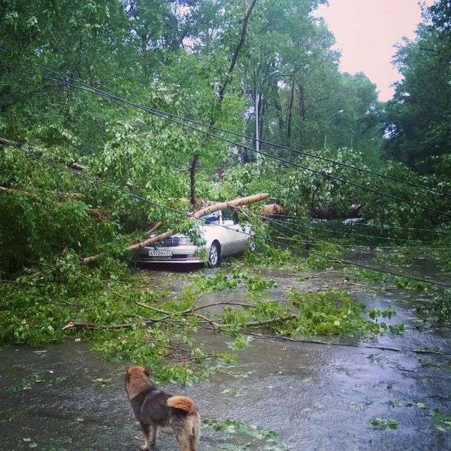 Хабаровськ постраждав від потужного циклону, який приніс ураган (20 фото)