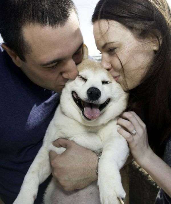 Кориця - найщасливіша собака у світі (9 фото)