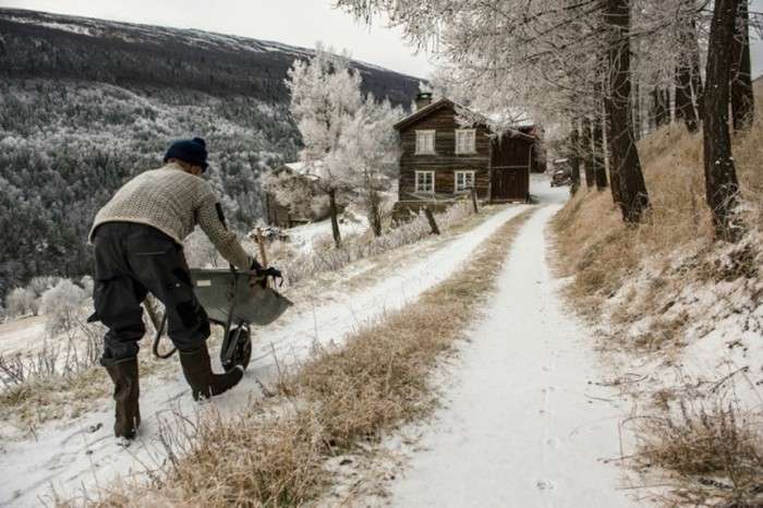 Життя норвезького лісового людини (30 фото)