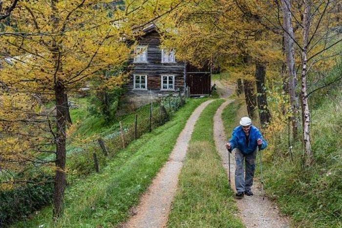Життя норвезького лісового людини (30 фото)