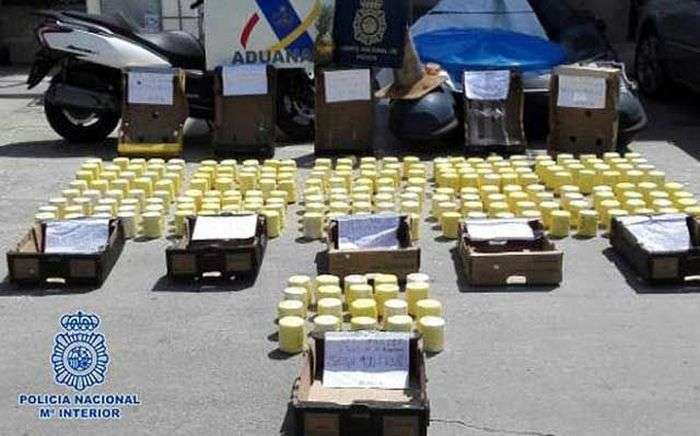 Контрабандисти намагалися перевезти 200 кг кокаїну всередині порожніх ананасах (3 фото + відео)