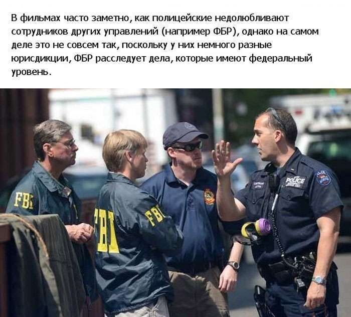 Все, що ви хотіли знати про поліції США (21 фото)
