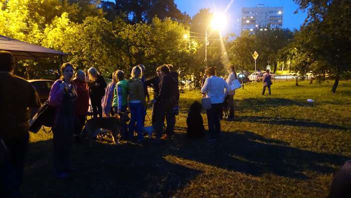 У московському парку «Торфянка» йде протистояння між прихильниками і противниками будівництва храму (39 фото)