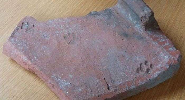 У Великобританії виявлений відбиток лапи кішки, яка жила 2000 років тому (2 фото)