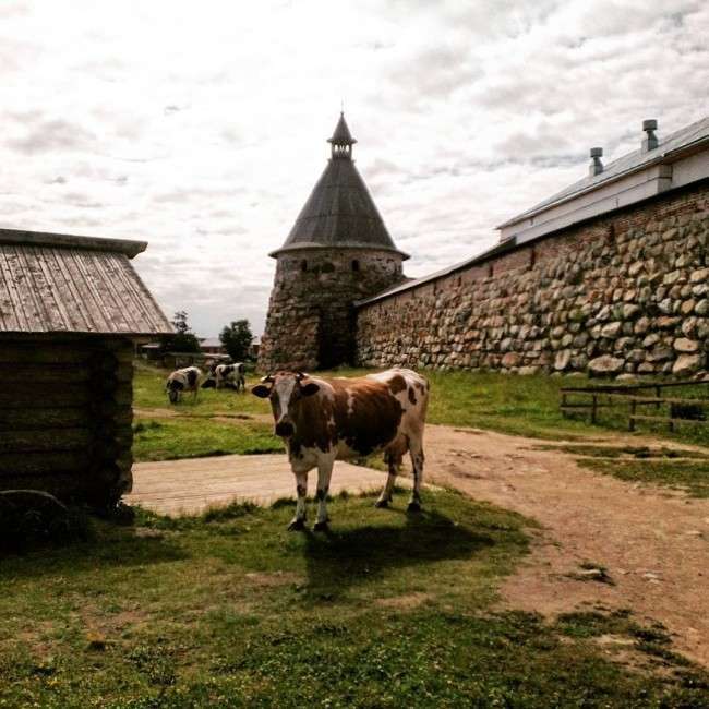 Соловецькі острови на фото в Instagram (32 фото)