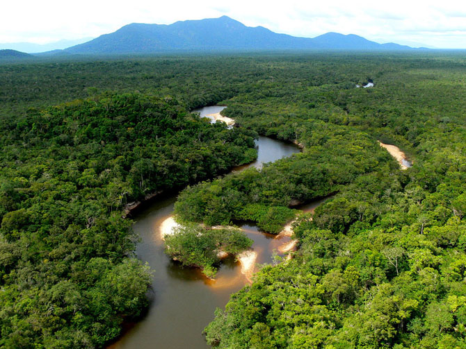 Большое фотопутешествие по лесам Амазонки путеествия, Путешествие и отдых