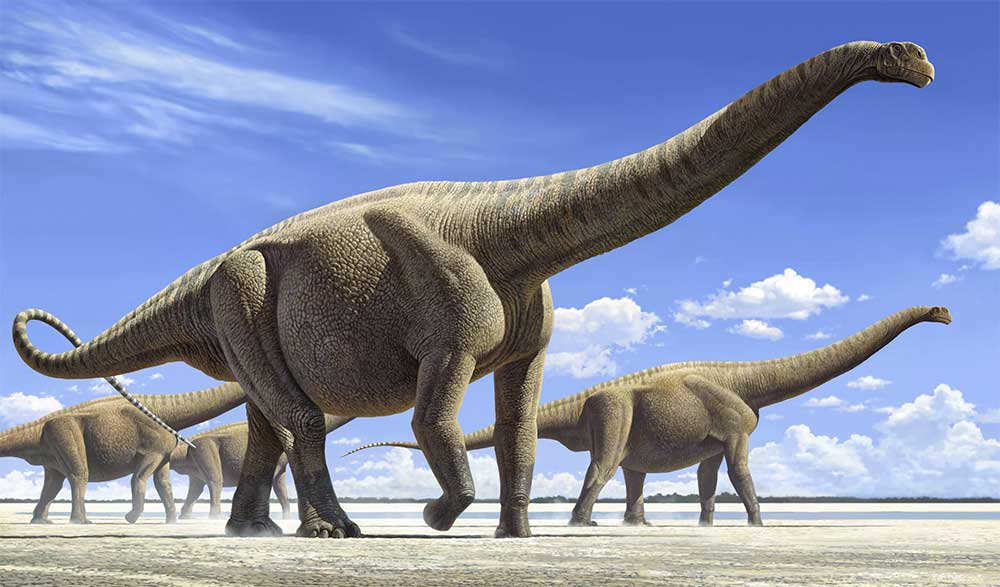 Какой самый большой динозавр в мире: фото и описание зверушки,живность,питомцы, Животные