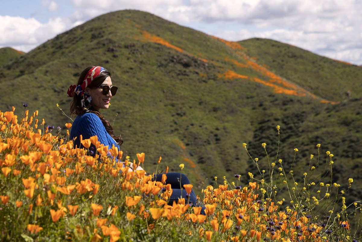 Калифорнийский город вынужден закрыть просмотр «супер цветение» маков из-за толп туристов МиР