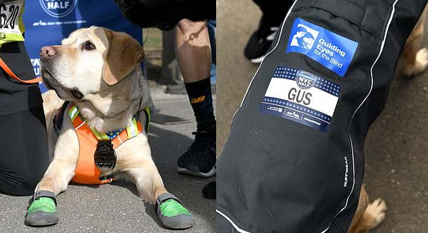 Слепой бегун впервые в истории завершил полумарафон при помощи собак-поводырей! 