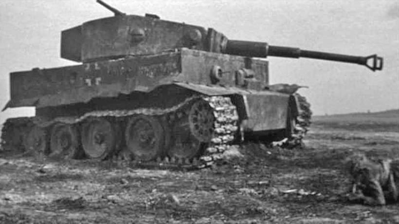 Укротительница «Тигра» Великая отечественная война
