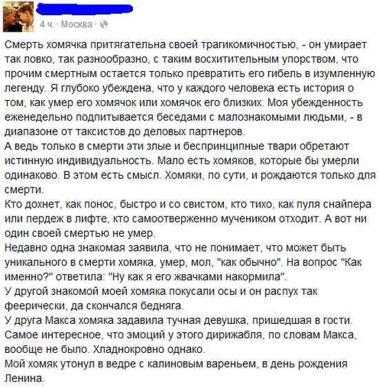 Смерть хомячків (5 скріншотів)