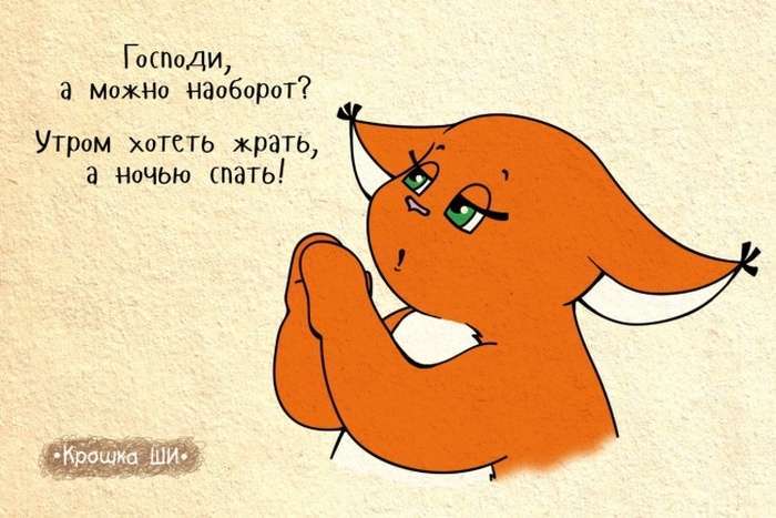 Білка Ши, як ніхто інший, здатна зрозуміти багатьох дівчат (19 картинок)