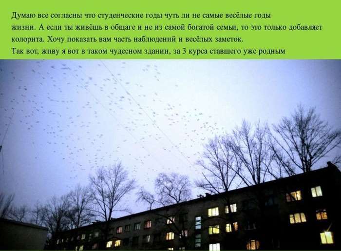 Нотатки студента про життя в гуртожитку (21 фото)