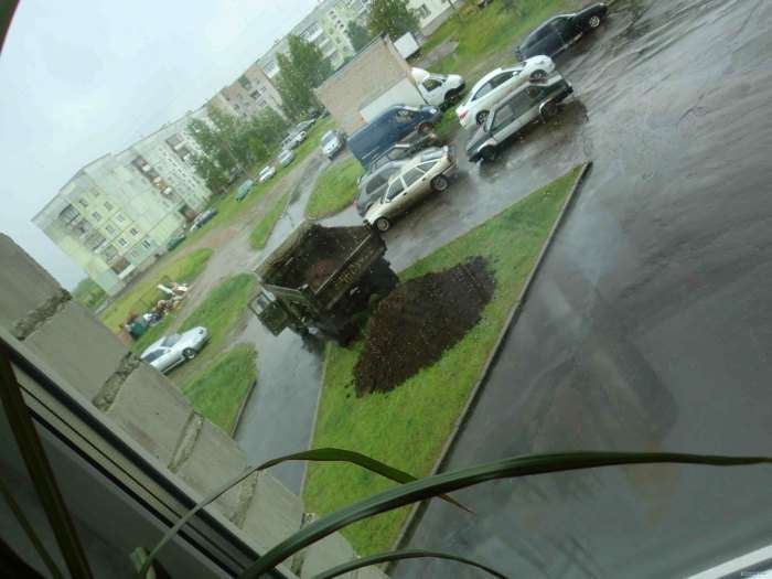 Клумба, як засіб боротьби з любителями паркування на газонах (11 фото)