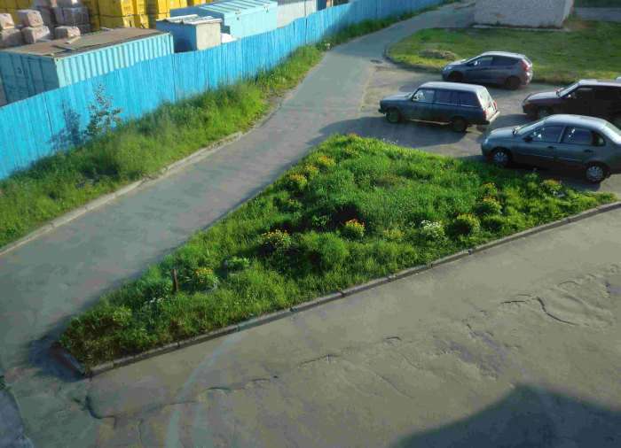 Клумба, як засіб боротьби з любителями паркування на газонах (11 фото)