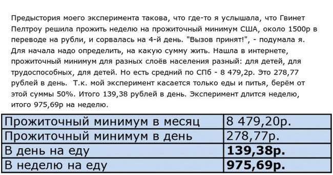 Як вижити на прожитковий мінімум (14 фото)
