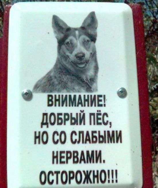 Таблички з кумедними попередженнями (16 фото)