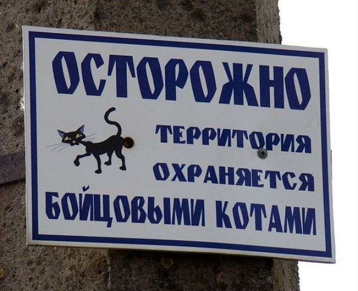 Таблички з кумедними попередженнями (16 фото)