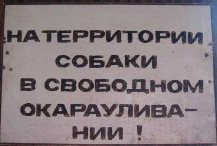 Таблички з кумедними попередженнями (16 фото)