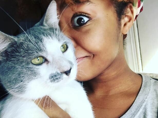 20 странных вещей, которые делают все владельцы котов, но не признаются в этом юмор, приколы,, Юмор