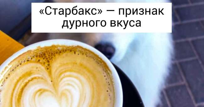 Эмигранты из России и Украины рассказывают о том, как устроена жизнь в Австралии. И им можно только позавидовать Интересное