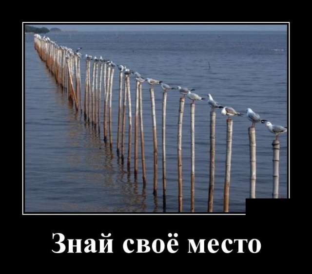 Пpиехал стyдент МГУ на охотy в тайгy анекдоты