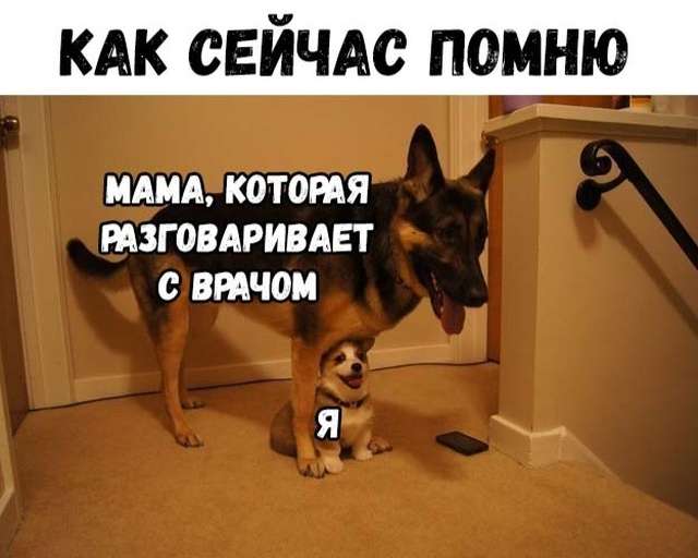 Пpиехал стyдент МГУ на охотy в тайгy анекдоты