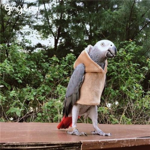 Свежие прикольные фото и картинки 