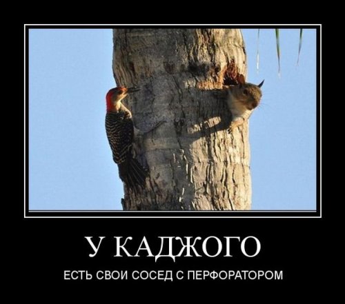 Всем улыбчивого дня и позитивного настроя! веселые картинки