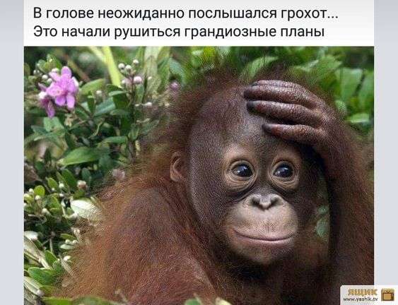 Приходит муж домой. Пьяный в стельку. Стоит возле двери... Весёлые