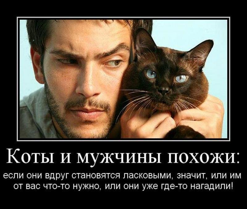 Мужской юмор анекдоты
