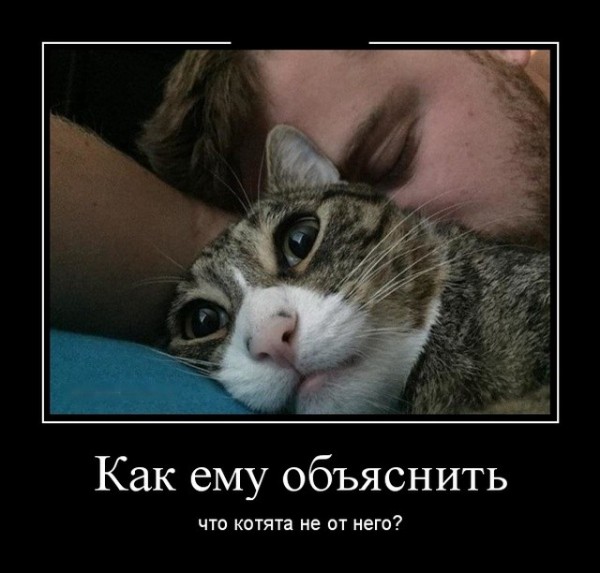 Жена посмотрела на нас тоскливыми глазами и снова взвыла: -Я-а-а-й-ц-а-а. -Что яйца? -Оторва-а-а-ались... истории из жизни