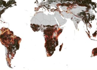 Подивіться на Пори року на землі у всій їх складності на новій анімованій карті