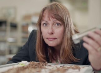 Пасма 500-річного волосся розповідають дивовижну історію