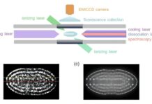 Найточніші зареєстровані молекулярні спектри: іони HD⁺ охолоджені майже до абсолютного нуля