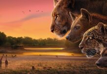 Свідок дикої природи: як дивитися Королівство Девіда Аттенборо