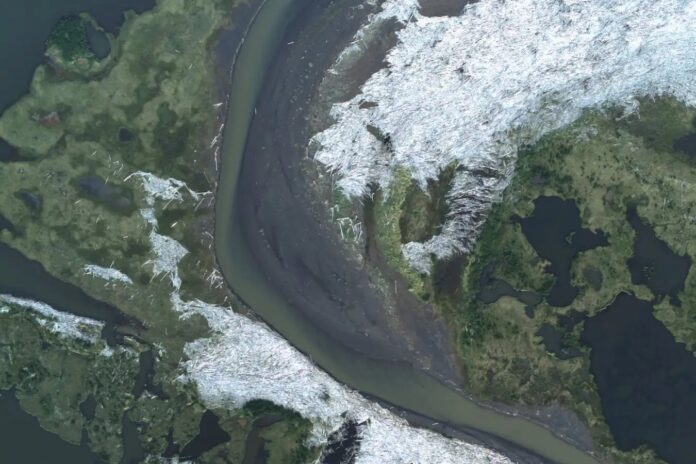 0156bb9f-7d23-4ab8-b11d-90e8f75fc716