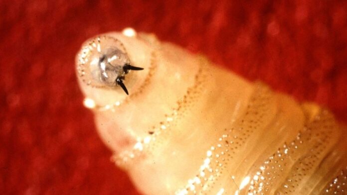 12d835d8-9876-4bba-95e9-a0cf021c17d6