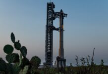 Адміністрація Трампа розглядає можливість передачі землі SpaceX у Техаському заповіднику дикої природи