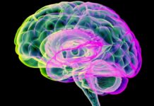 Pulsujący dwutlenek węgla przyspiesza oczyszczanie mózgu, wykazując obiecujące wyniki w chorobie Parkinsona i Alzheimera