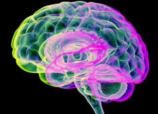 Pulsos de dióxido de carbono aumentam a depuração cerebral e são promissores para Parkinson e Alzheimer