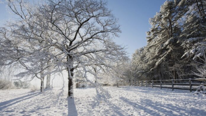 9cf9e394-de14-4fae-9ce9-6afd0c111d63