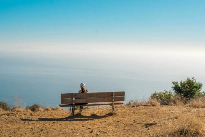 9e478fc6-5db1-4c2b-8f58-98e096df5a5f