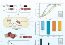 Стародавній фермент «Воскрес»: нові вказівки в пошуках витоків життя та позаземного життя
