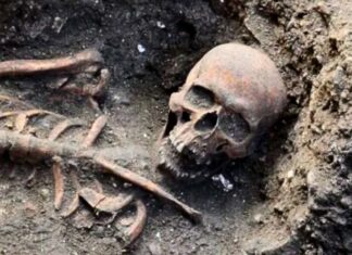La Tour de Londres révèle des dizaines de squelettes, révélant des siècles d’histoire