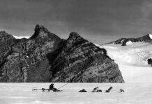 Сторіччя висвітлення Антарктиди в The New York Times