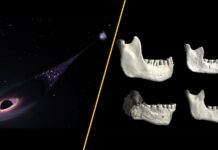 Прориви та зрушення в науці: від запуску чорних дір до змін у політиці вакцинації