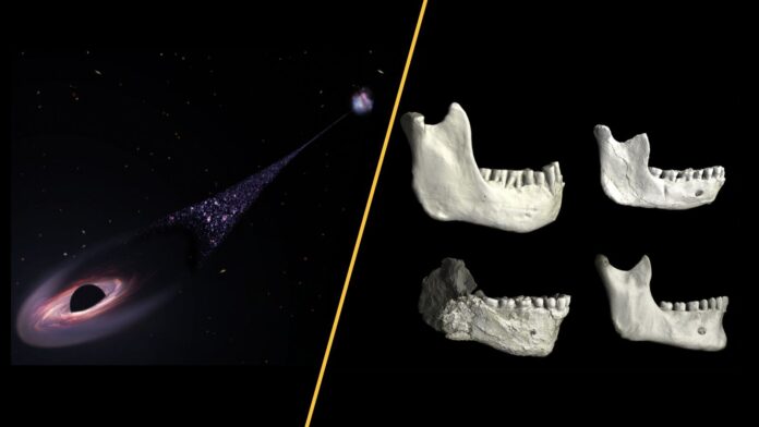 d9f147cc-0e5d-418d-8e5e-f09fb4c67ea8